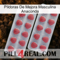 Píldoras De Mejora Masculina Anaconda 19